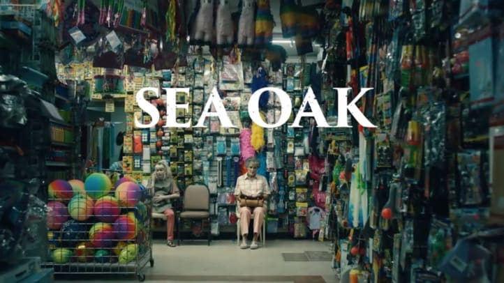 Sea Oak - Season 01