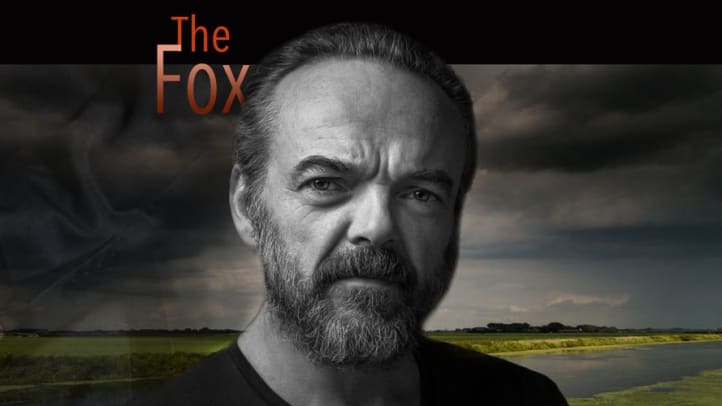 The Fox