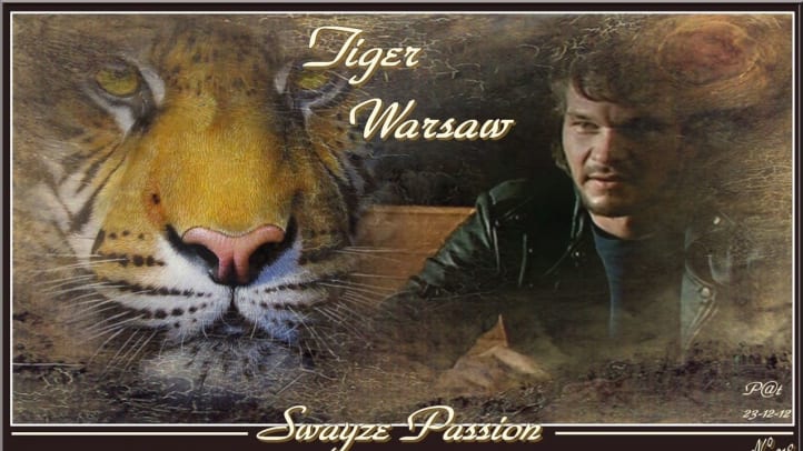 Tiger Warsaw