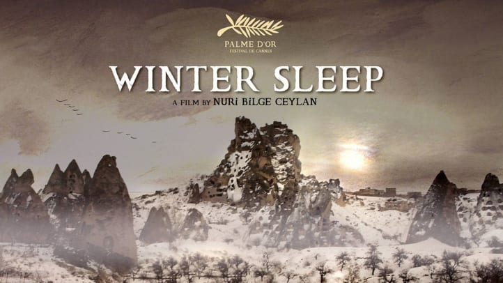 Winter Sleep