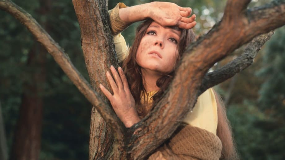 Watch A Midsummer Night's Dream
