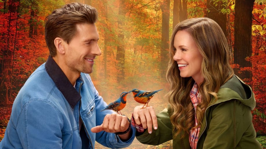 Watch Adventures in Love & Birding