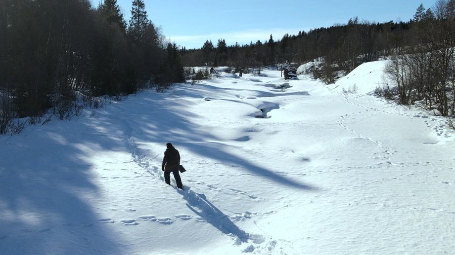 Watch Arctic's Edge