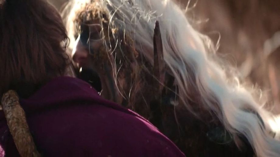 Watch Backwoods Blood Feud