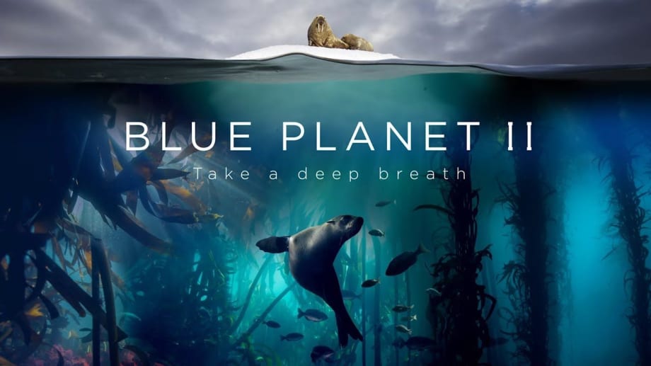 Watch Blue Planet II - Season 01