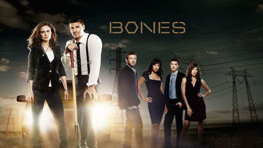 Watch Bones - Season 9