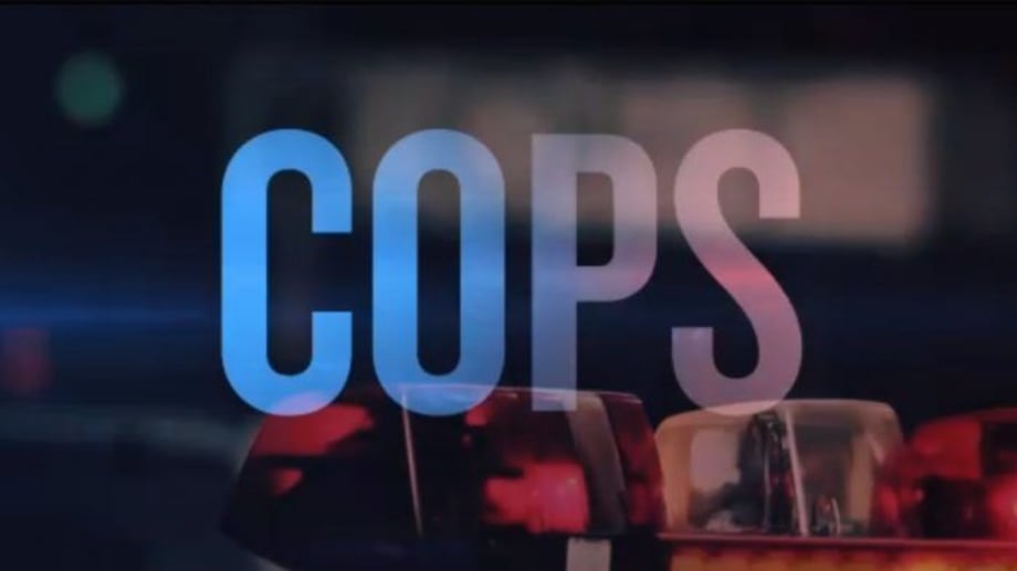 Watch Cops - Season 31