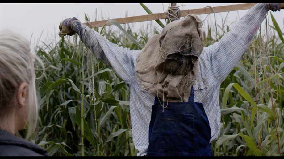 Watch Curse of the Scarecrow