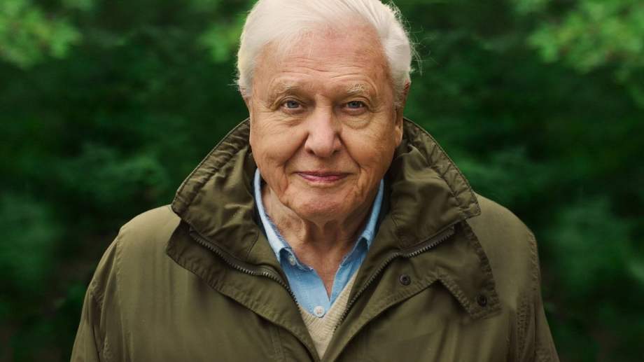 Watch David Attenborough: A Life on Our Planet