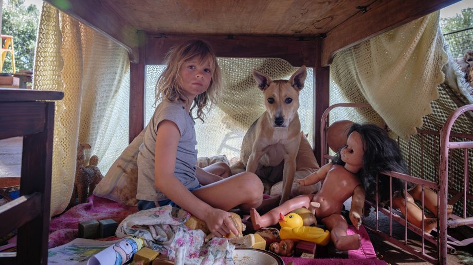 Watch Don't Let's Go to the Dogs Tonight