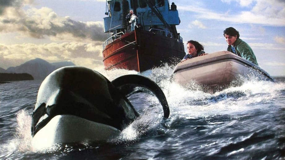 Watch Free Willy 3: The Rescue