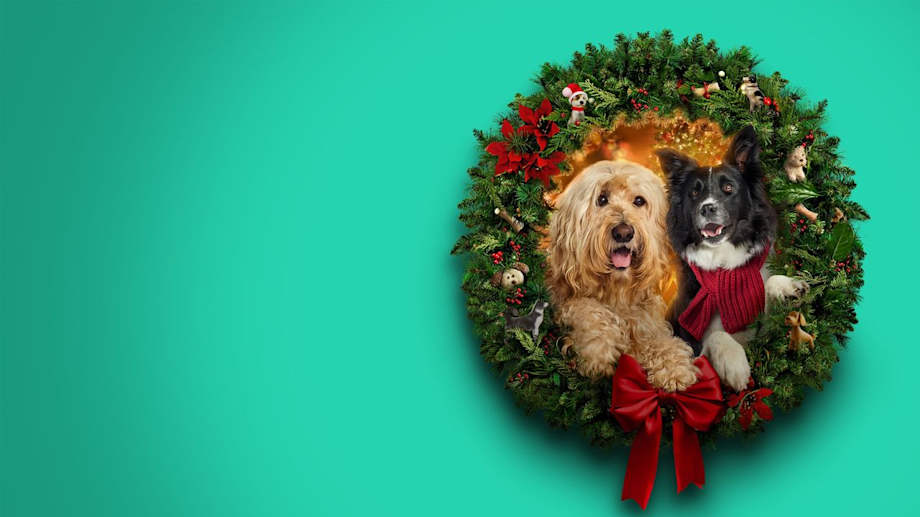 Watch Happy Howlidays