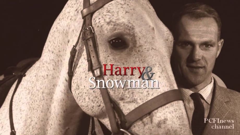 Watch Harry And Snowman