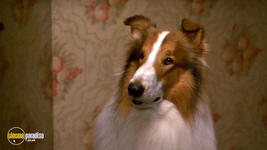 Watch Lassie (1994)