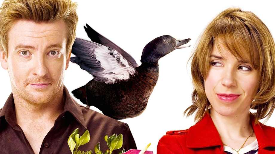 Watch Love Birds