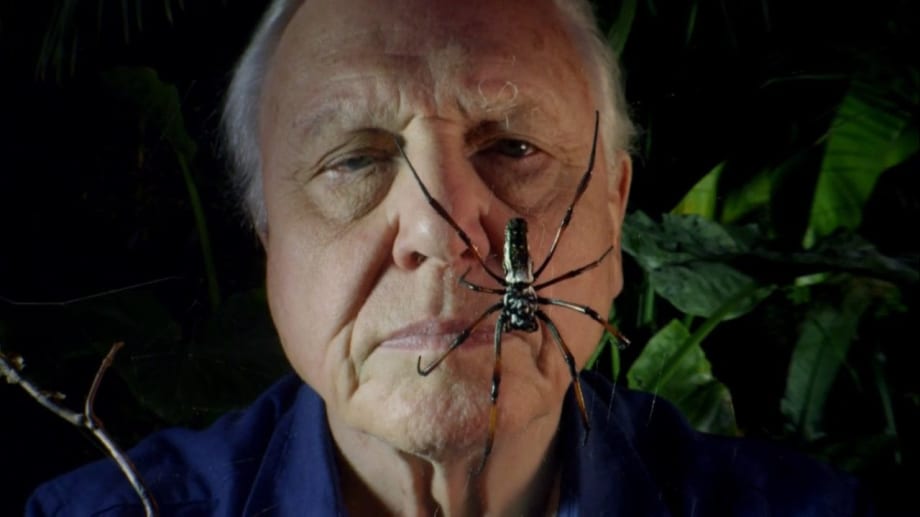 Watch Micro Monsters with David Attenborough - Season 01