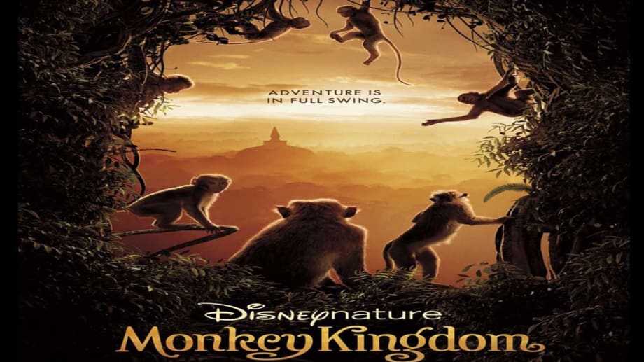 Watch Monkey Kingdom 2015