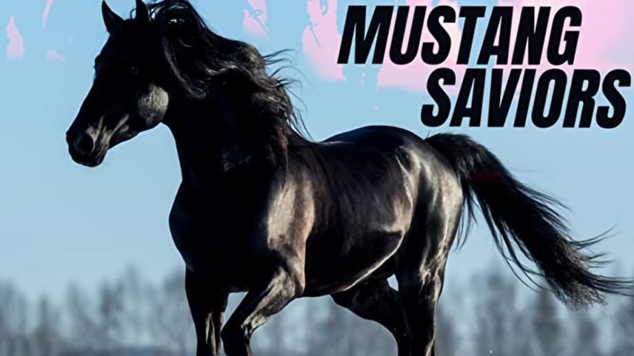 Watch Mustang Saviors
