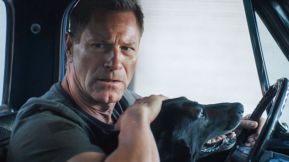 Watch Muzzle: City of Wolves