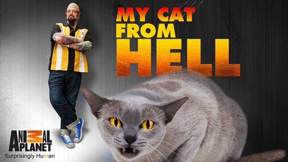 Watch My Cat From Hell - Season 8
