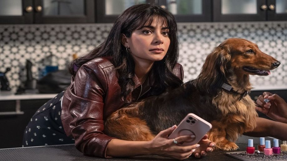 Watch Paws in the City