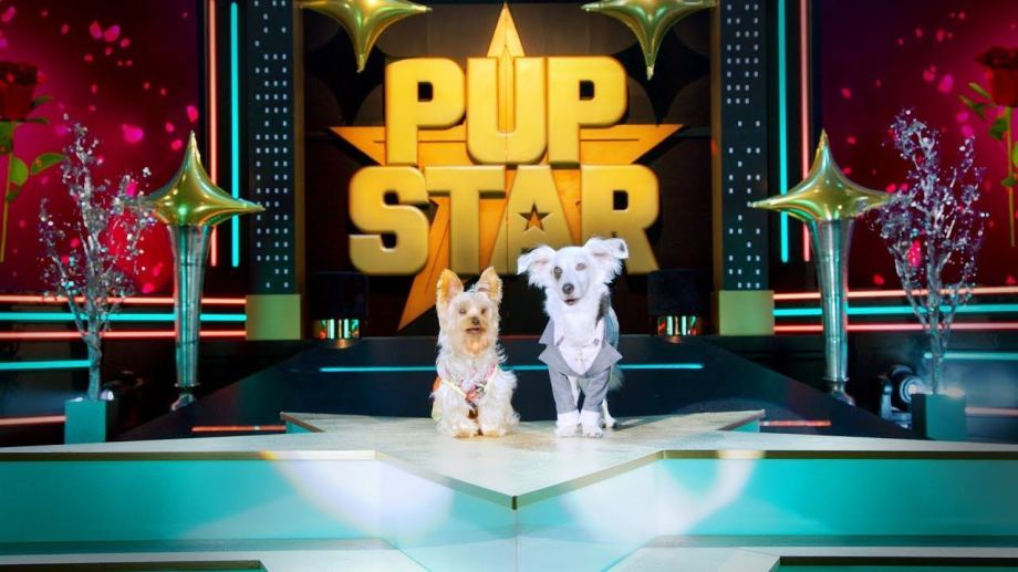 Watch Pup Star