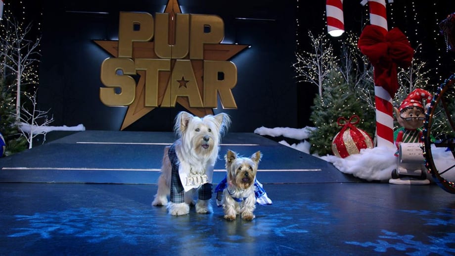Watch Puppy Star Christmas