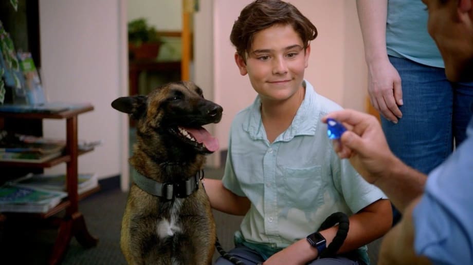 Watch RADAR: The Adventures of the Bionic Dog