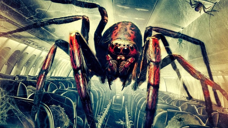 Watch Spiders on a Plane