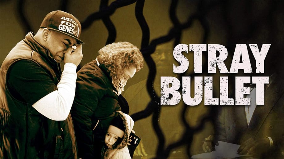 Watch Stray Bullet