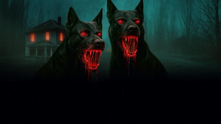 Watch The Dogs