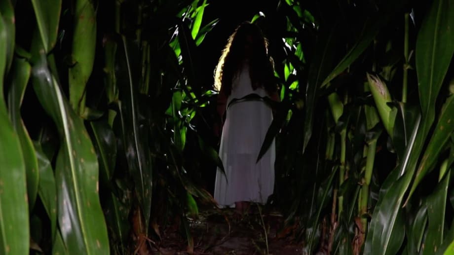 Watch The Girl in the Cornfield