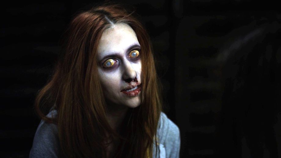 Watch The Haunting of Whaley House