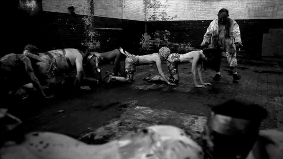 Watch The Human Centipede