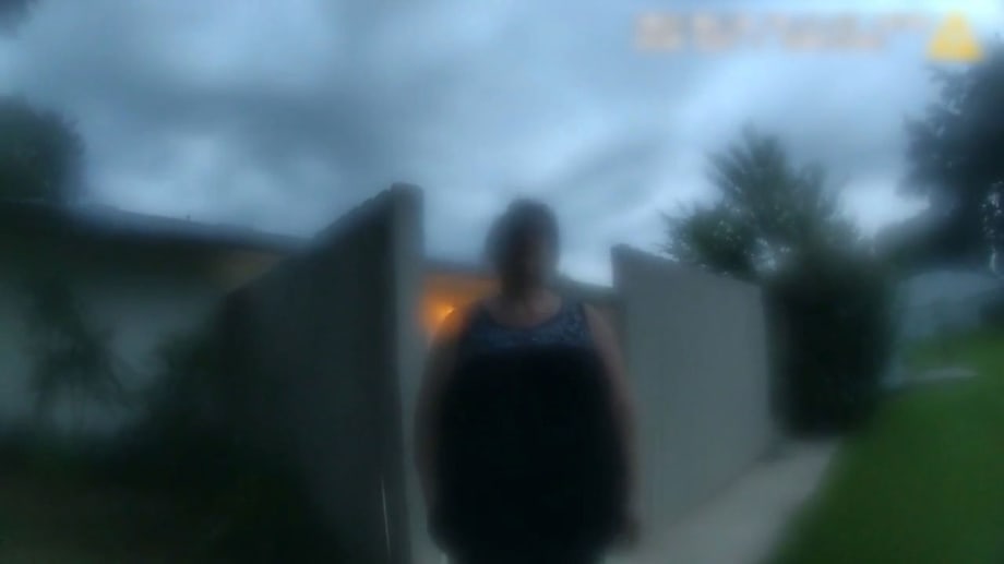 Watch The Perfect Neighbor