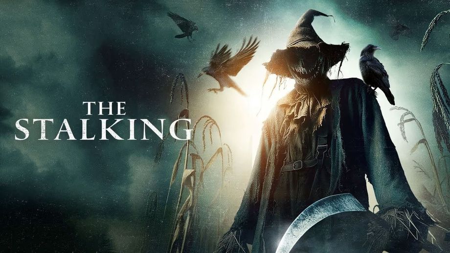 Watch The Stalking