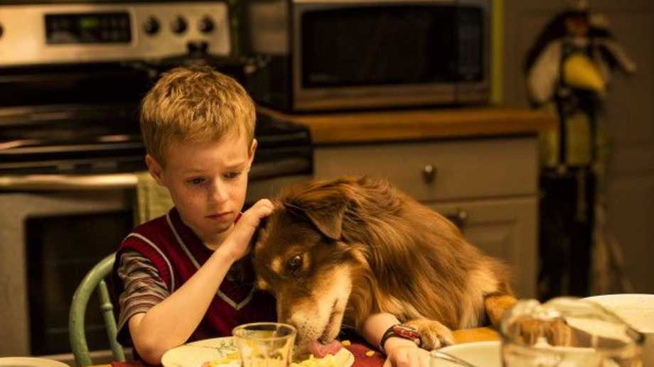 Watch The Young and Prodigious TS Spivet