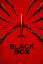 Black Box (Flight 298)