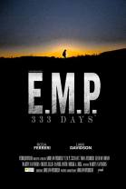 EMP 333 Days