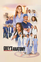 Grey's Anatomy - Season 22