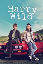Harry Wild - Season 5