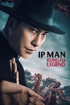 Ip Man: Kung Fu Legend