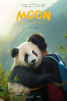 Moon The Panda