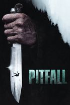 Pitfall