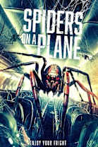 Spiders on a Plane