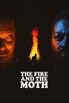 The Fire And The Moth