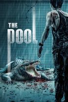 The Pool