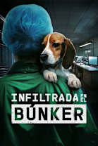 Undercover Inside the Bunker