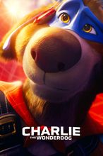 Charlie the Wonderdog