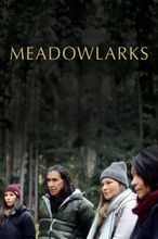 Meadowlarks